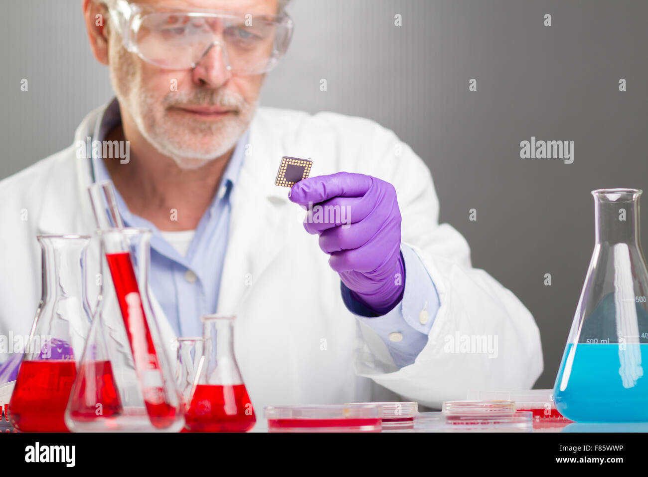 Life Science-Forschung. Stockfoto