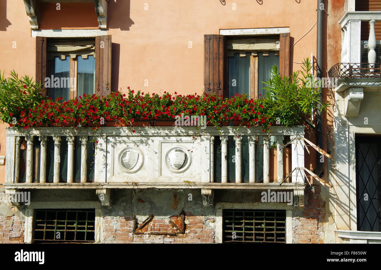 Venedig, Italien, Blumen auf Balkon am Canal grande Stockfoto