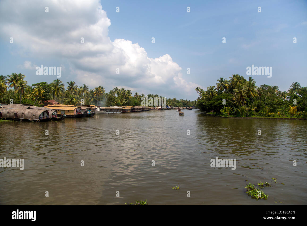 Backwaters in Kerala, Indien. Die Backwaters sind ein ausgedehntes Netz von 41 west fließen ineinander greifenden Flüssen, Seen und Kanälen th Stockfoto