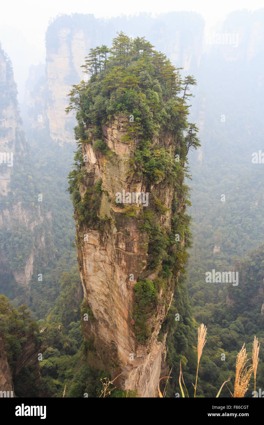 Halleluja Berg in Zhangjiajie National Park (Tian Zhi Shan) (Tianzi Mountain Nature Reserve) und Nebel, China Stockfoto