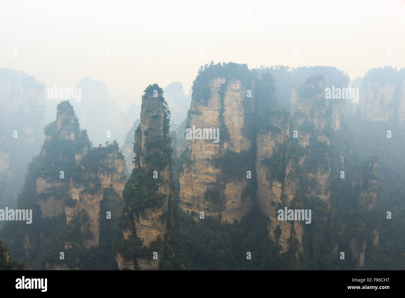 Zhangjiajie-Nationalpark (Tian Zhi Shan) (Tianzi Mountain Nature Reserve) und Nebel, China Stockfoto