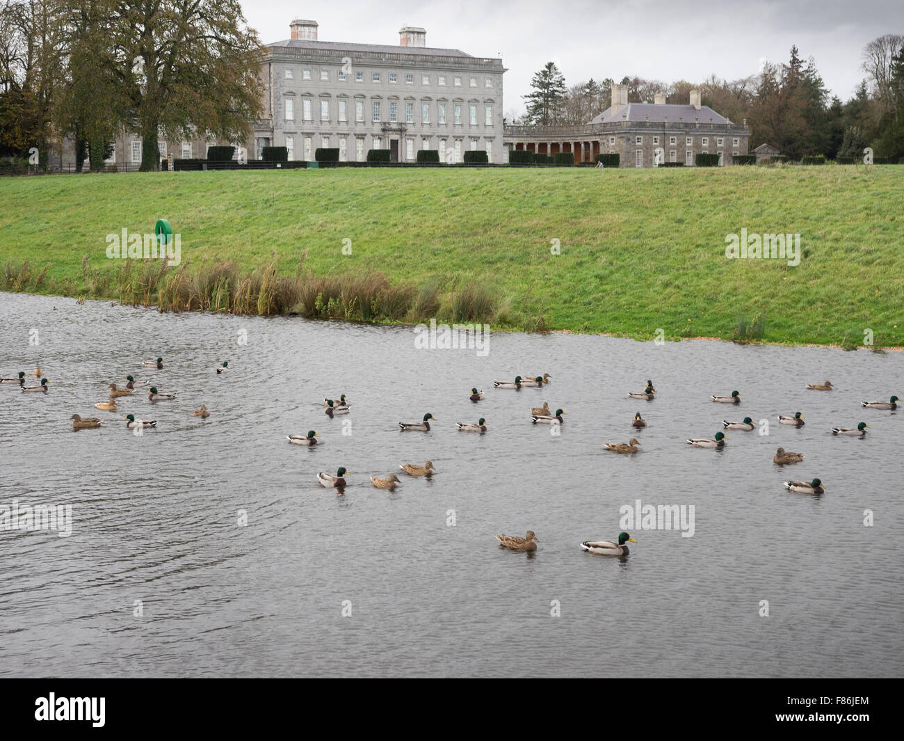 Castletown Estate, Celbridge, Co Kildare Stockfoto