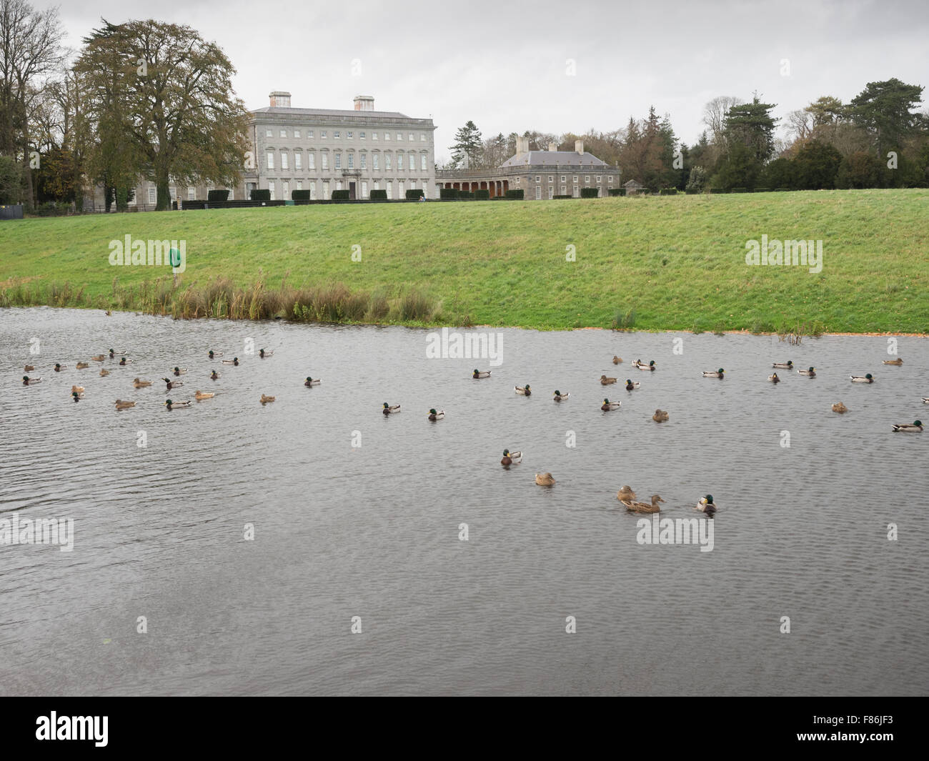 Castletown Estate, Celbridge, Co Kildare Stockfoto