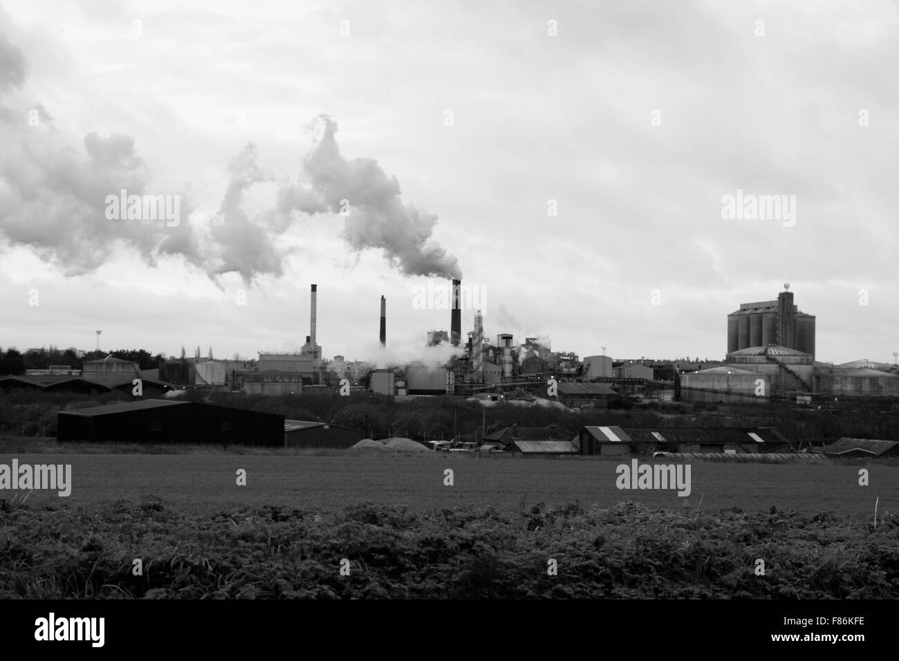 Die britische Zuckerfabrik in Bury St Edmunds, Suffolk, UK in schwarz / weiß Stockfoto