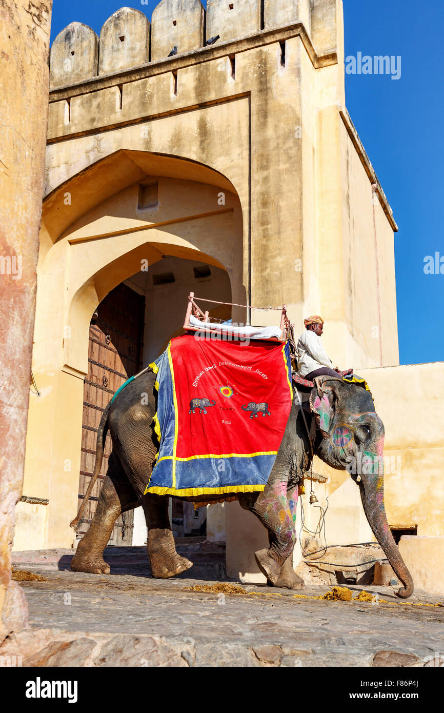 Elefanten Reiten für Touristen vor das Amber Fort, Jaipur, Rajasthan, Indien Stockfoto