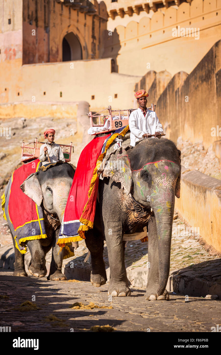 Elefantenreiten für Touristen in Amber Fort, Jaipur, Rajasthan, Indien Stockfoto