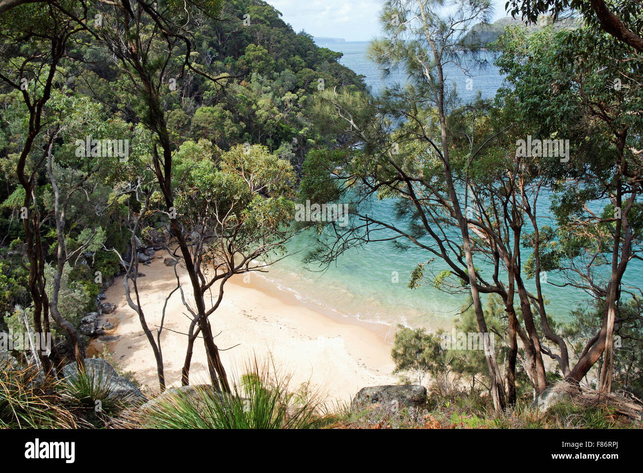 Resolute Strand Sydney ich Australien Stockfoto