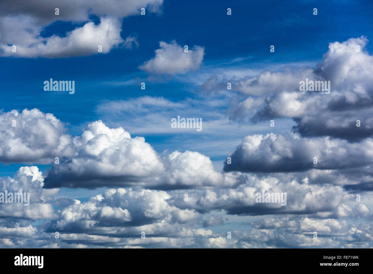 Dicke flauschige Wolken Stockfoto
