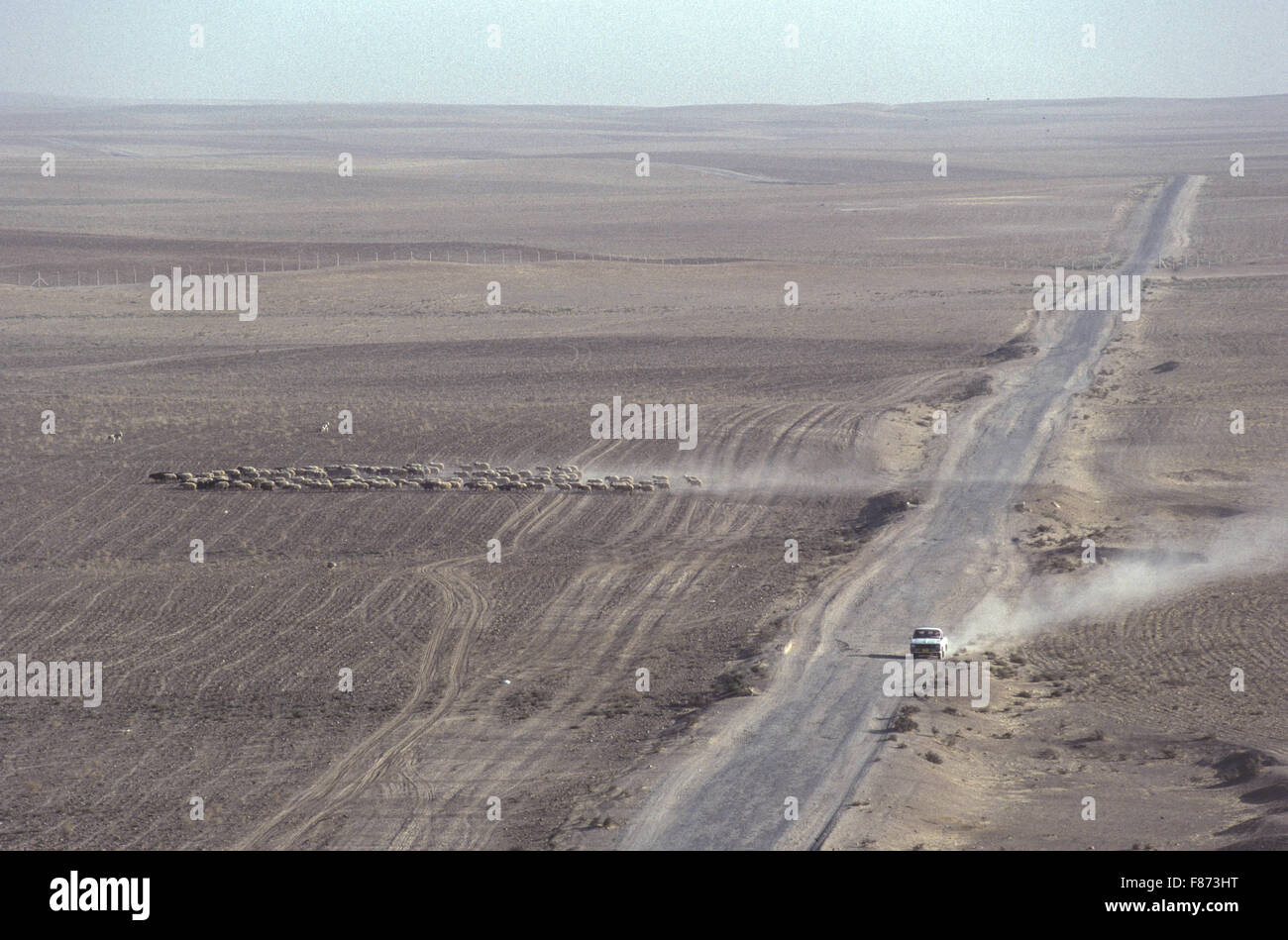 Nimrud, Irak - eine Herde Schafe weiden in der Ninive-Ebene, wie vom königlichen Palast von König Ashurnasirapal II zu sehen. Stockfoto