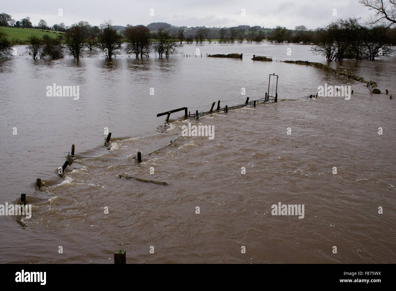 Ein Schaf Handlingsystem in Sawley, Lancashire, zerstört nach Sturm Desmond im Norden Englands in dieser Woche getroffen. Stockfoto
