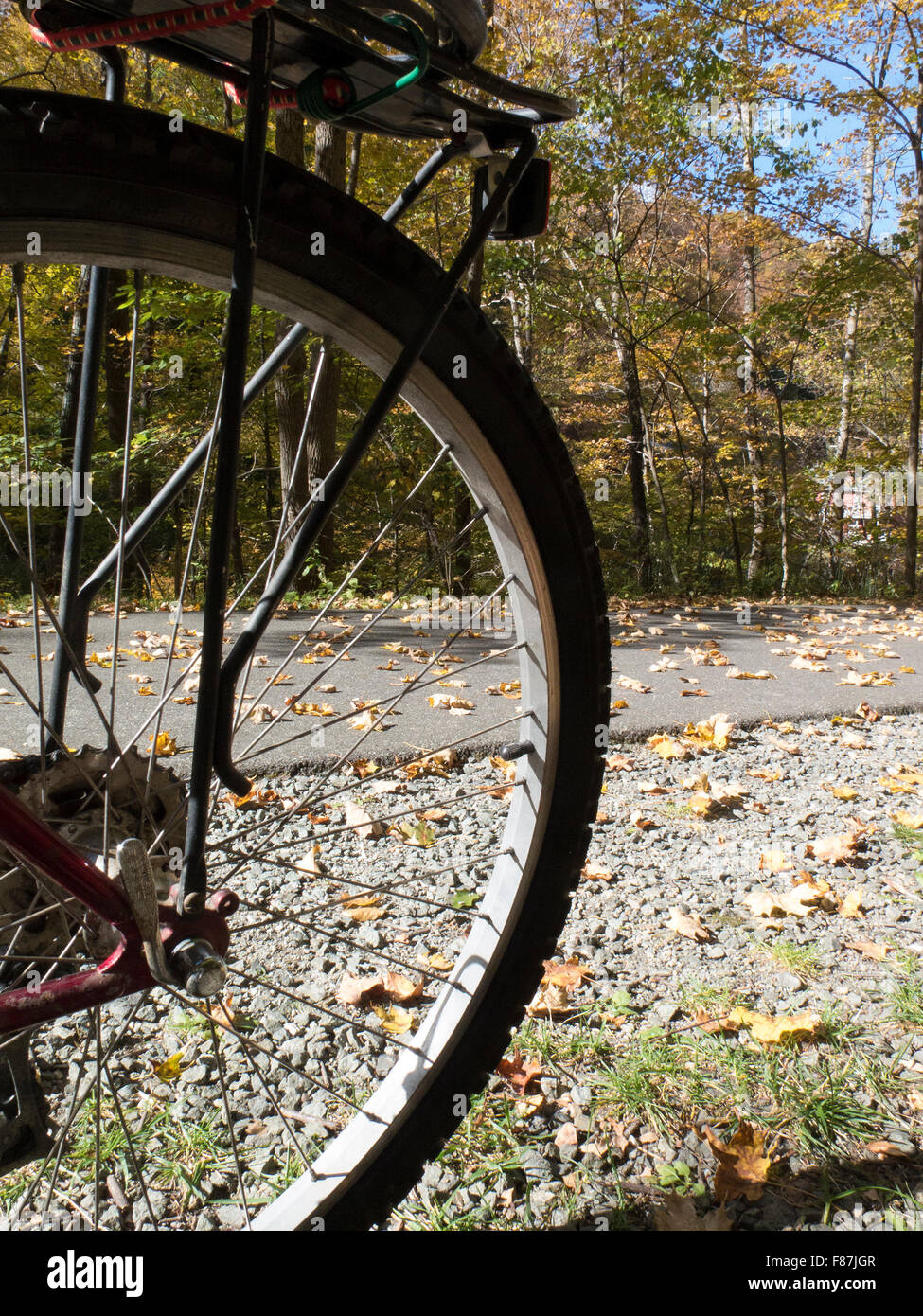 Ein ruhenden Ort entlang der Ashuwillticook Rail Trail in Adams, Massachusetts, im Herbst Laub. Stockfoto