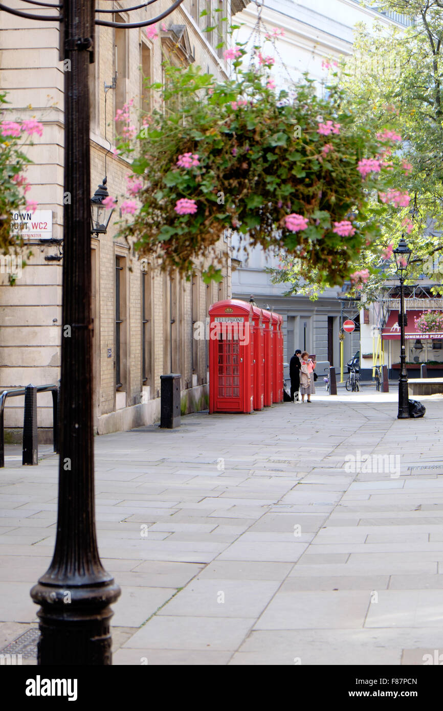 Bunter Herbst Blüten hängen von Straßenlaternen auf einem typisch britischen Street in London, England. Stockfoto
