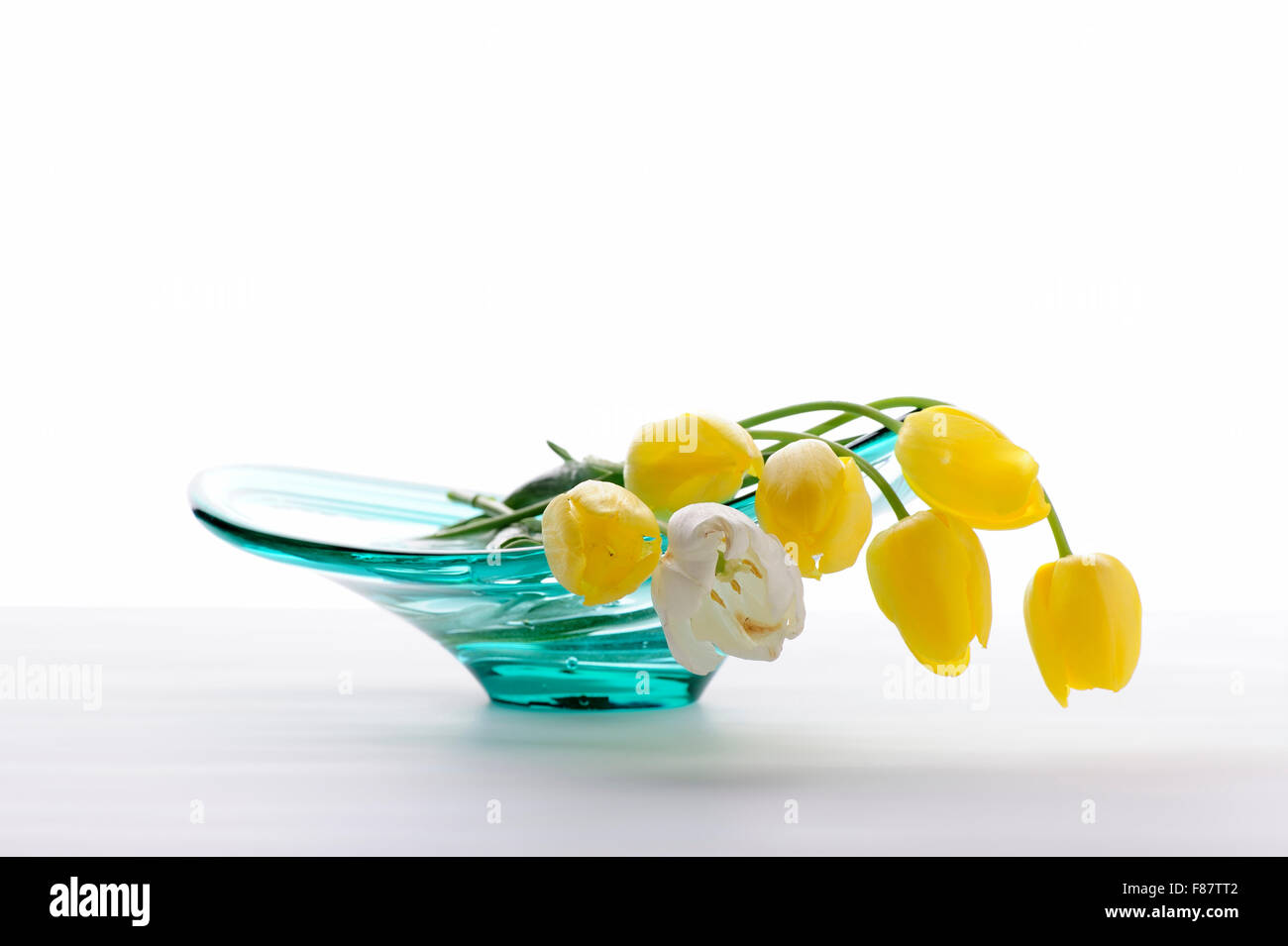 Tulpen, frisch, Blumen, Duft, Frühling, Sommer, Duft, Schönheit, Detail, Blume, Blütenblätter, Single, Stil leben, Tulpen, Glas, Vase, Stockfoto