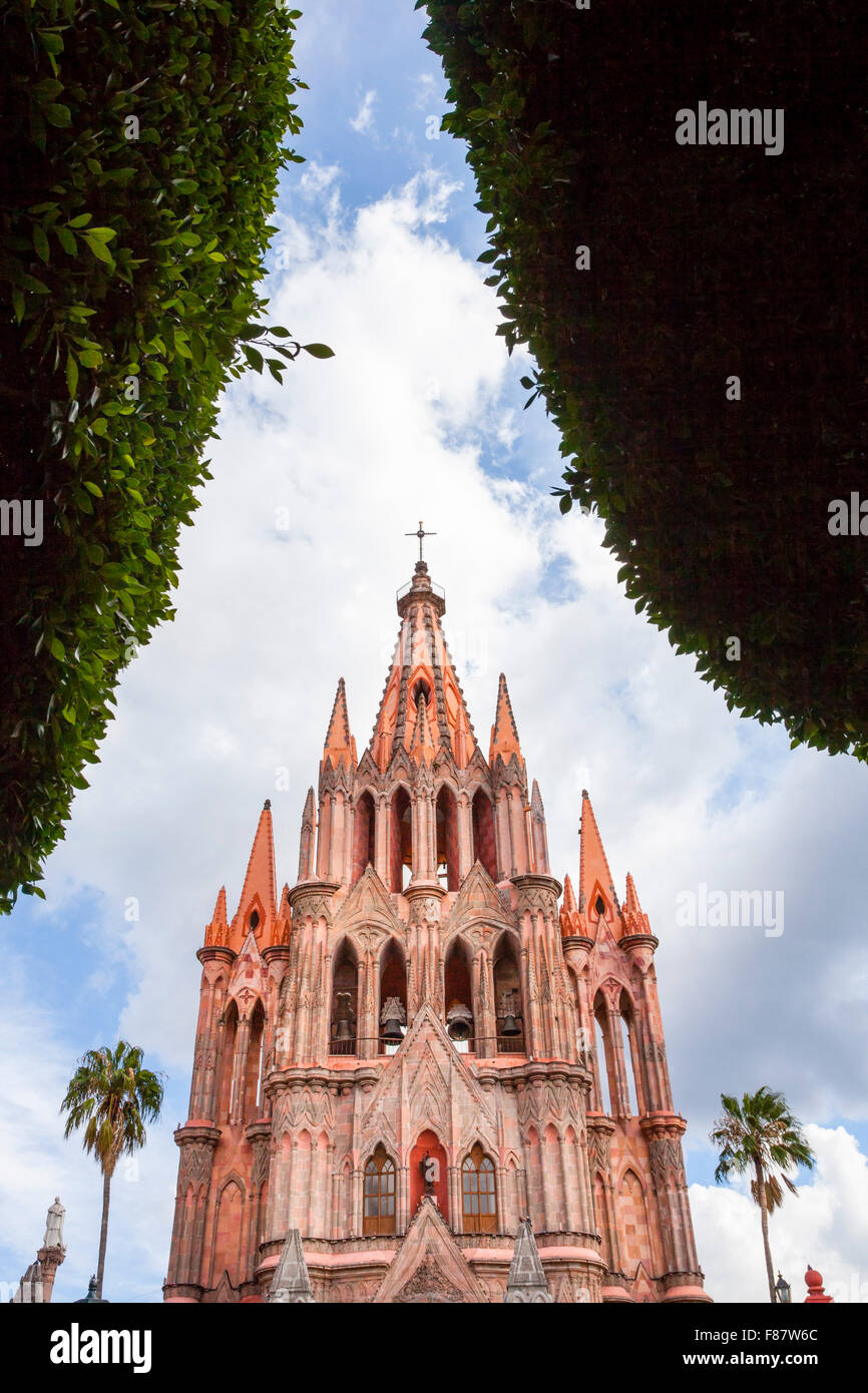 Die Basilika von San Miguel de Allende, Mexiko durch Bäume auf dem Platz. Stockfoto