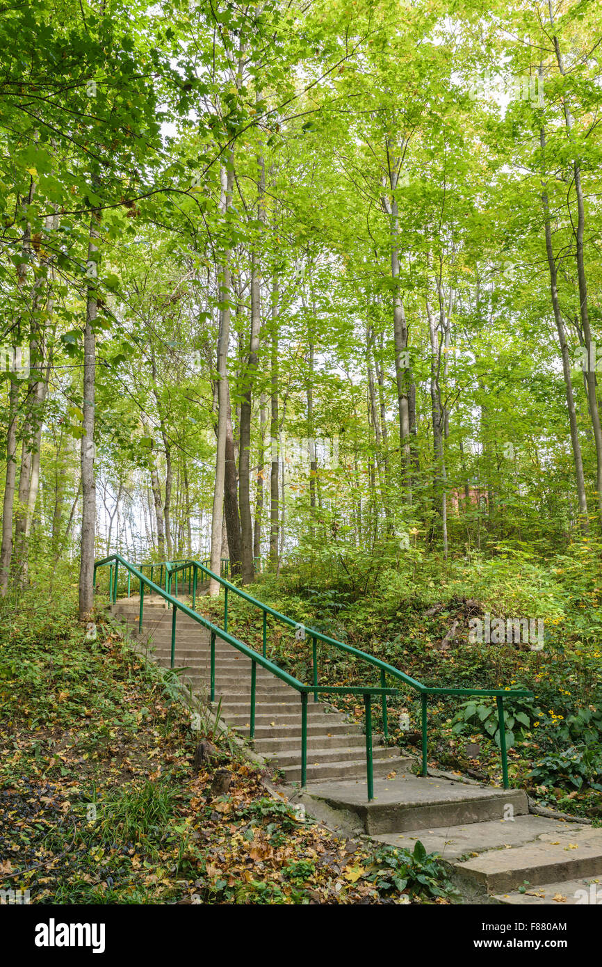 Betontreppen mit einem Geländer im Sommer grünen Wald. Stockfoto