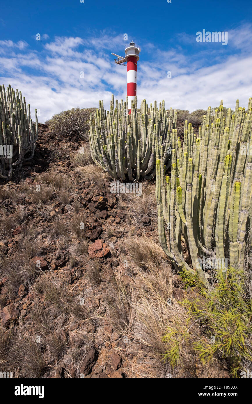 Palm Mar Leuchtturm und Euphorbia Canariensis Kaktus im Bereich Malpais, Teneriffa, Kanarische Inseln, Spanien. Stockfoto