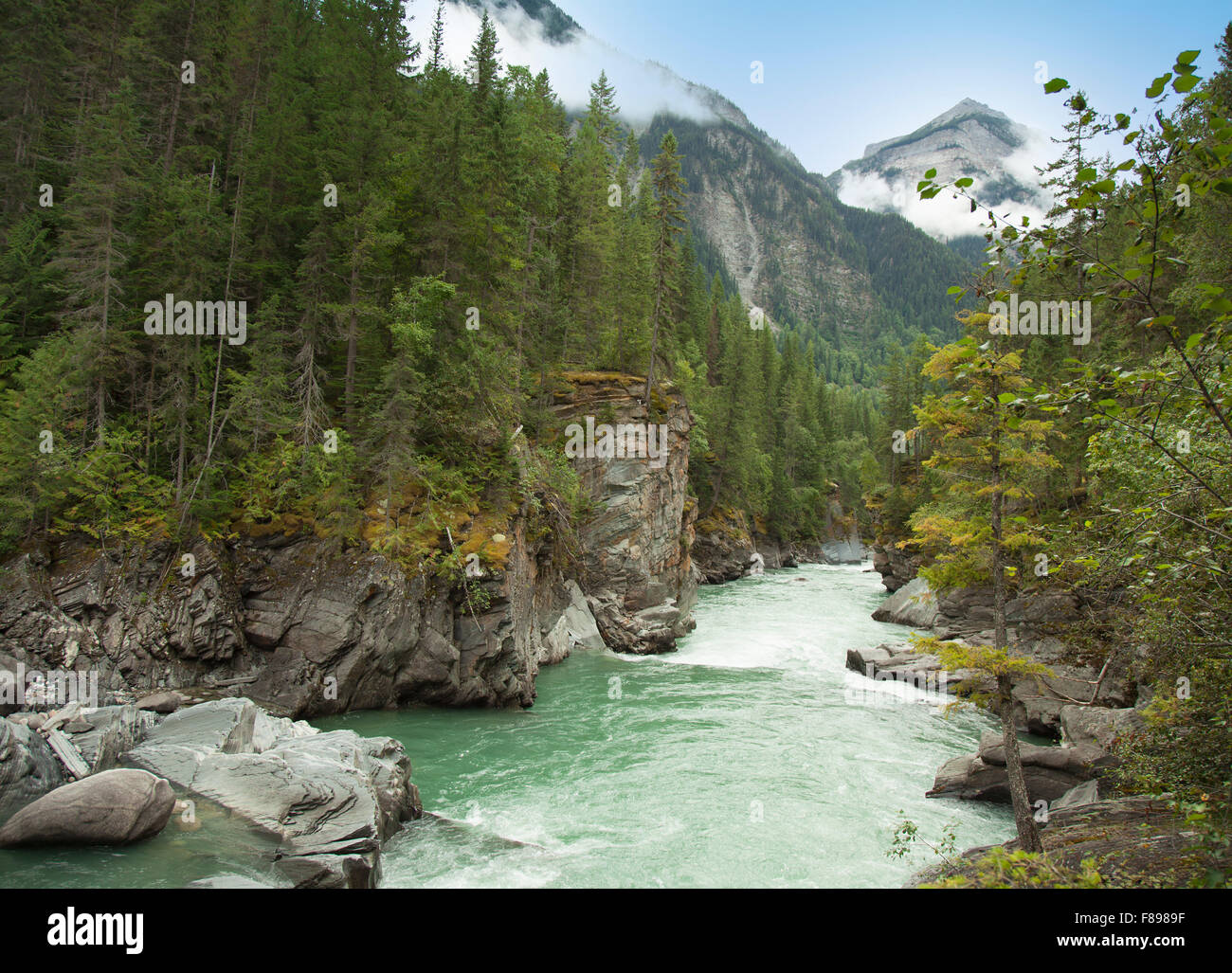 Frazer River in Britisch-Kolumbien Stockfoto