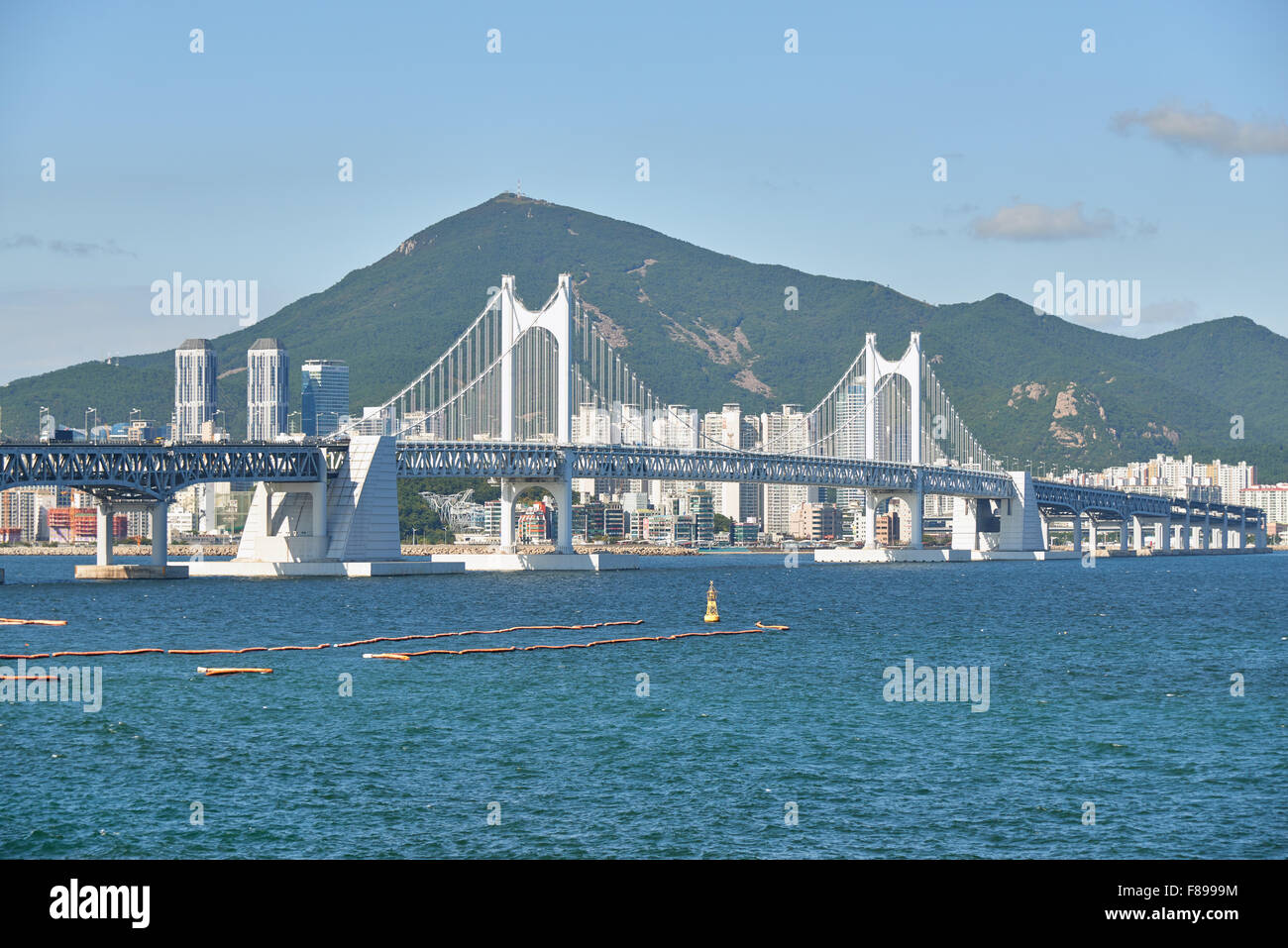 Gwangandaegyo. Es ist eine große Hängebrücke und ein Wahrzeichen befindet sich in Busan, Korea. Die Brücke verbindet Haeundae Bezirk und S Stockfoto
