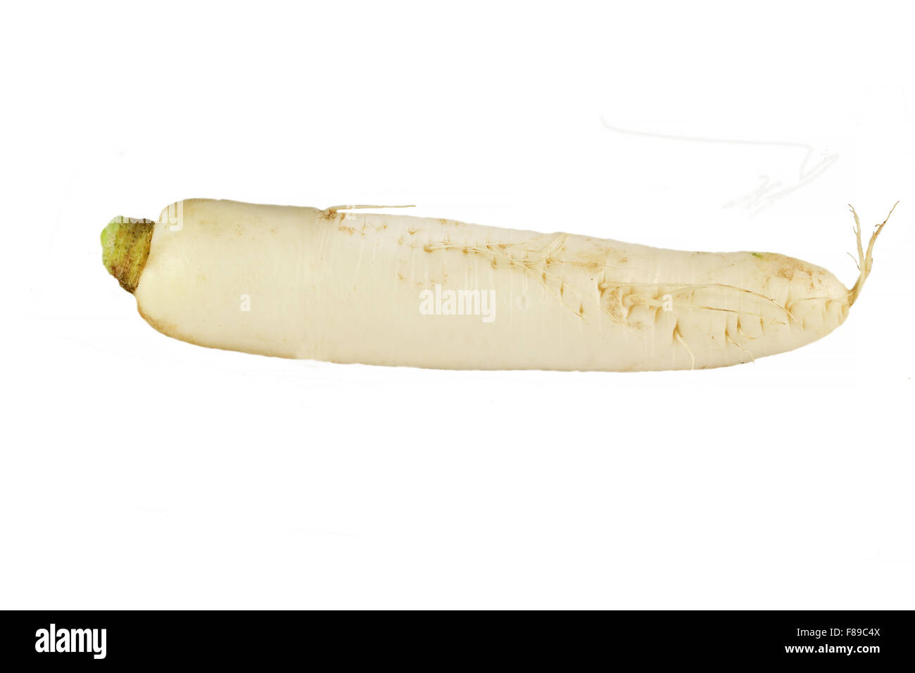 lecker Gemüse Sellerie wird auf einem weißen Hintergrund Closeup fotografiert. Stockfoto