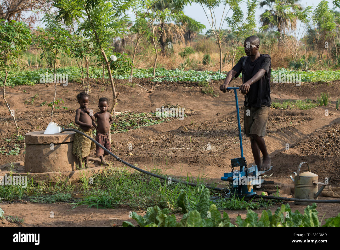 Sambia, Chipata, kleinen Bauer bewässert Gemüse Bauernhof mit pedal Wasserpumpe oder tritt Pumpe Gemüse zu verkaufen zusätzliche Einnahmen zu generieren Stockfoto