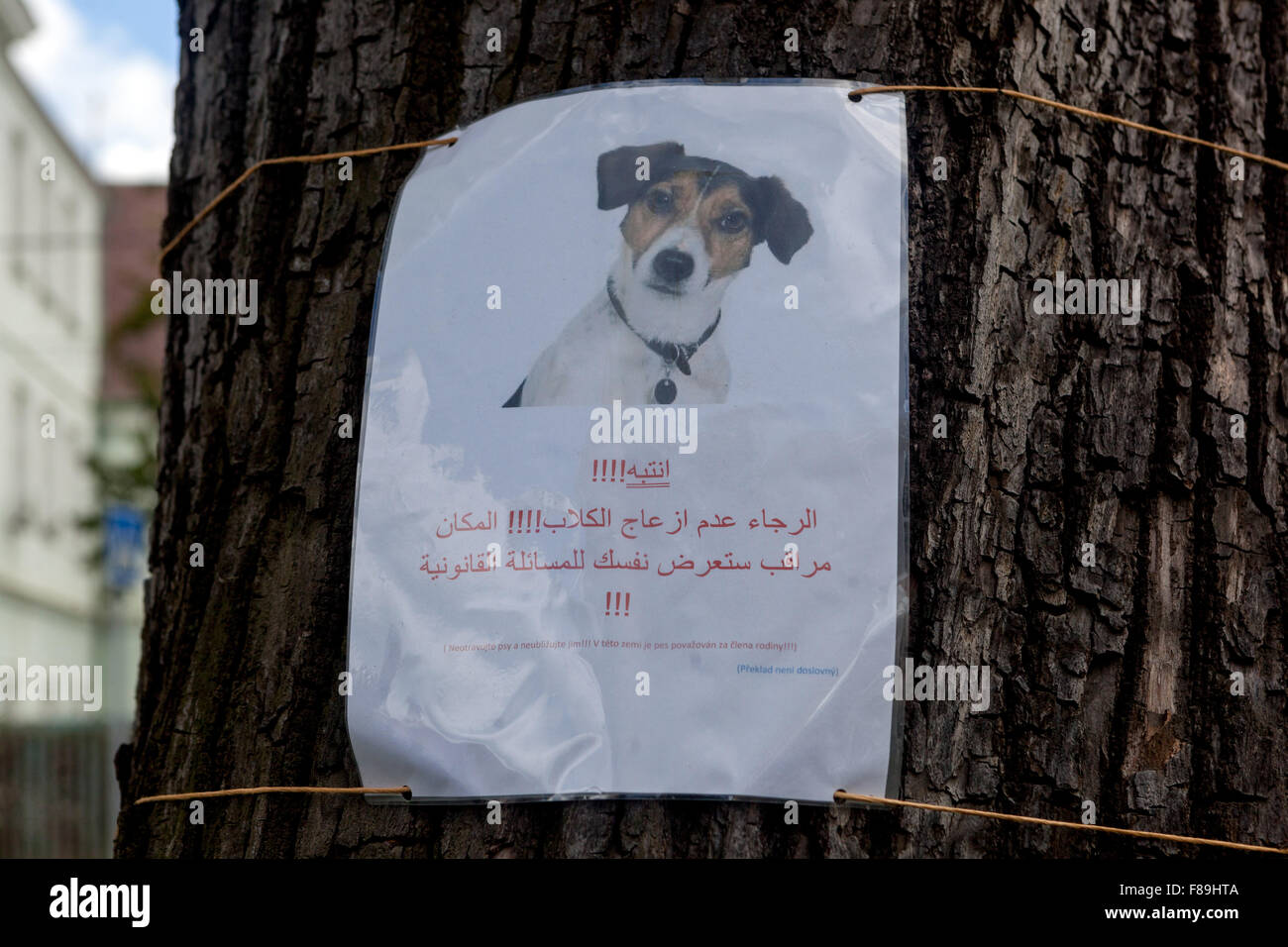 Warnung für Kurgäste. Die Tschechische Bräuche zu beobachten. Ausgestellt im Park. Verletzen Sie nicht die Hunde, Nord böhmischen Kurort. Teplice Stockfoto