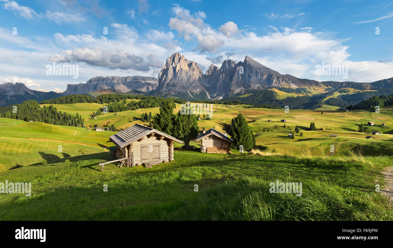 Alpe di Siusi, Seiser Alm, Dolomiten, Europa Stockfoto