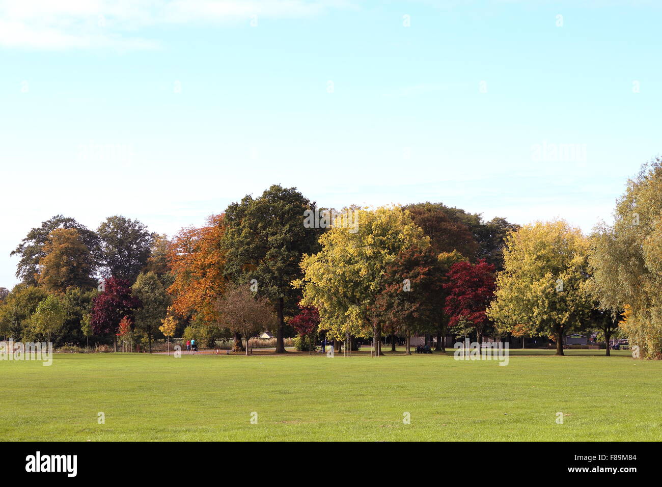 Bäume Farbwechsel im Herbst in Worden Park, Leyland, Lancashire. Stockfoto