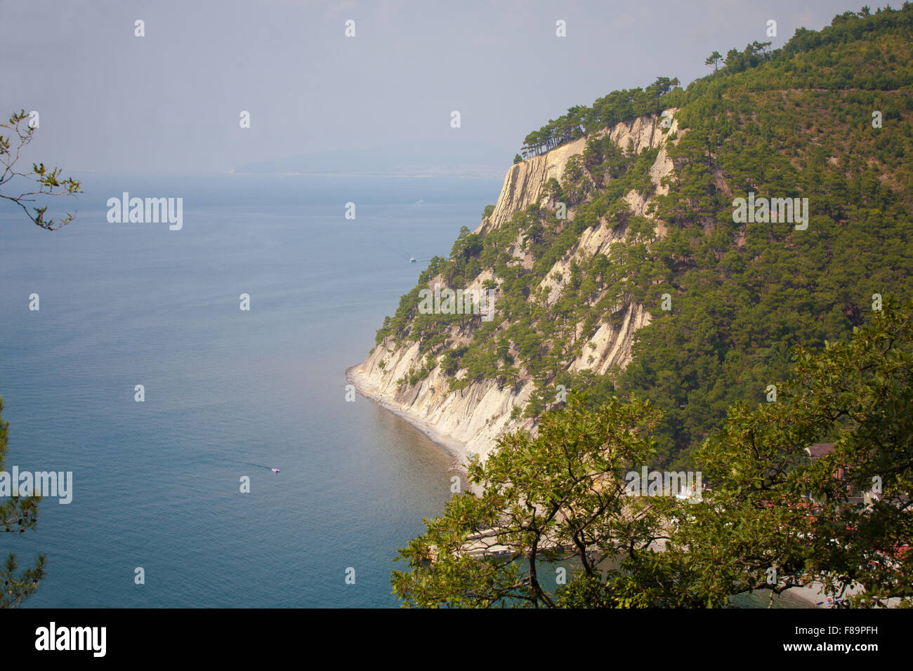 Landschaft, Strand, Südküste des Kaukasus, blaues Meer, Felsen, Berge, Risse in den Felsen, Kiefern auf Felsen Stockfoto