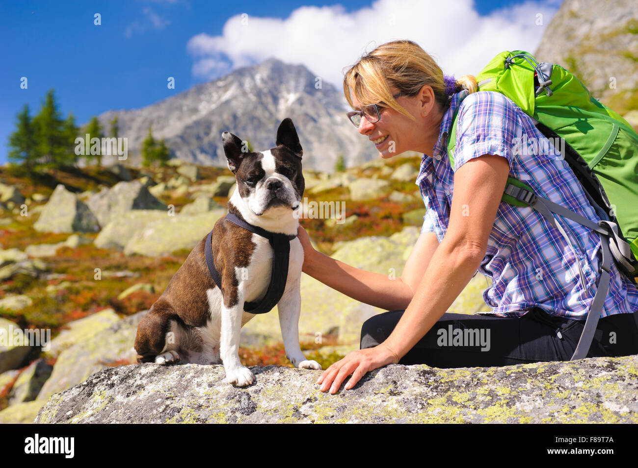 Frau mit Hund Boston Terrier in Alpen-Trail Wandern Stockfoto