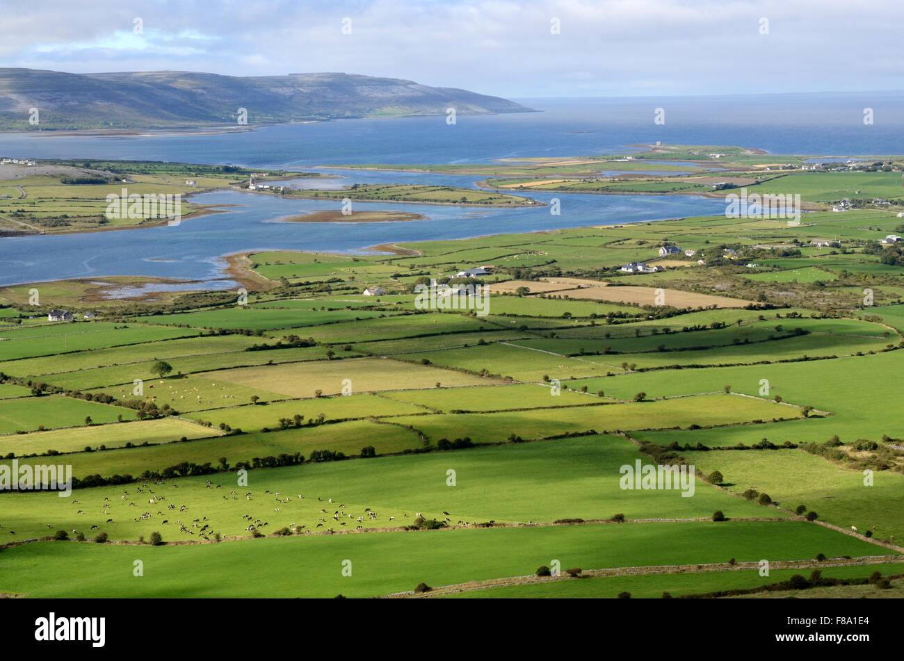 Blick von Abby Hill über grüne Felder Ackerland in Richtung Galway Bay Burren County Clare Ireland Stockfoto