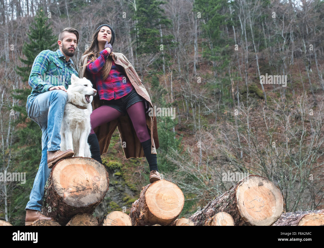 Junge Frauen und Männer auf Holz meldet sich im Wald. Weißer Hund Stockfoto