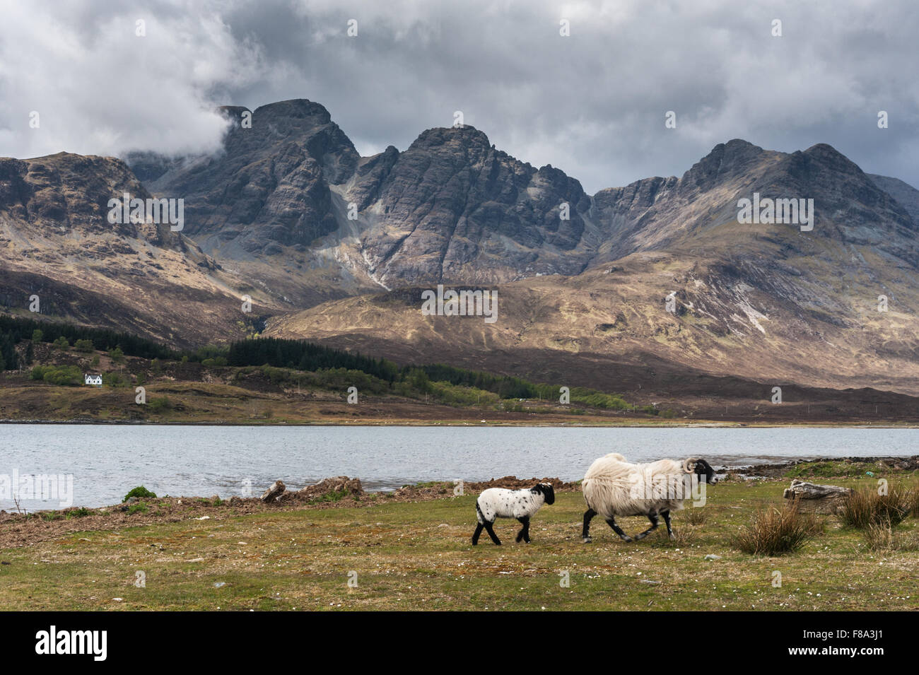 Blaven von über Loch Slapin Stockfoto