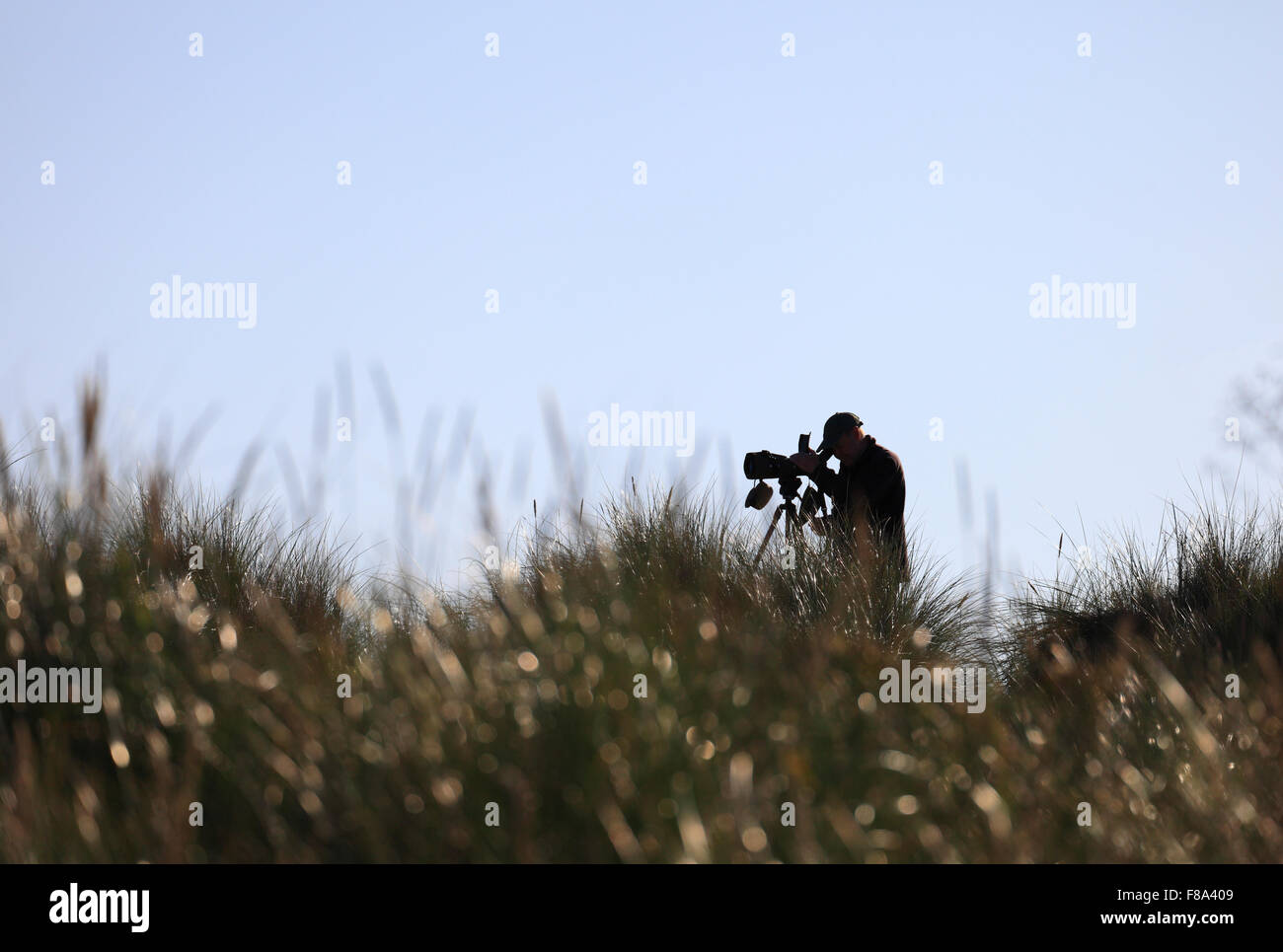 Ein Mann Vogelbeobachtung im Naturreservat Holme Dünen an der Küste von Norfolk. Stockfoto