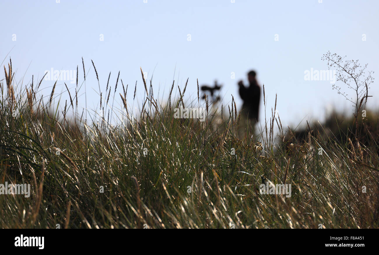 Ein Mann Vogelbeobachtung im Naturreservat Holme Dünen an der Küste von Norfolk. Stockfoto