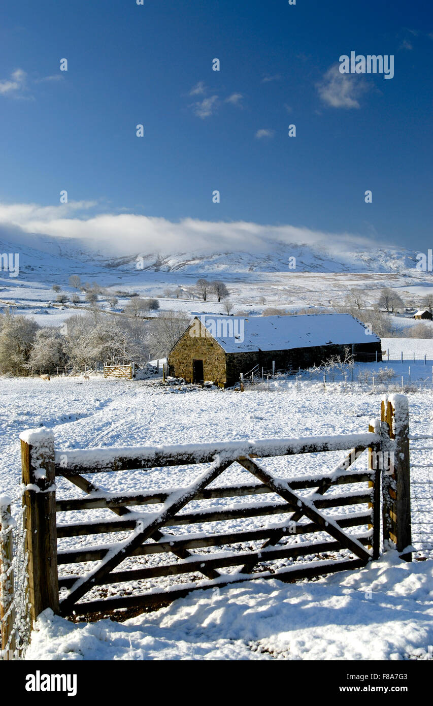 Winterlandschaft in Wales, Großbritannien Stockfoto