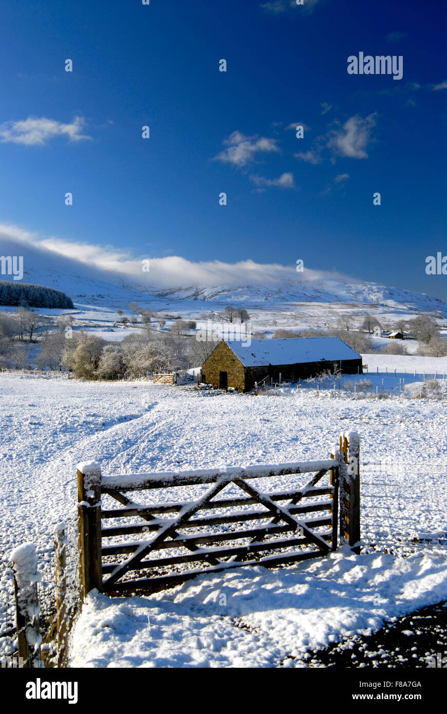 Winterlandschaft in Wales, Großbritannien Stockfoto