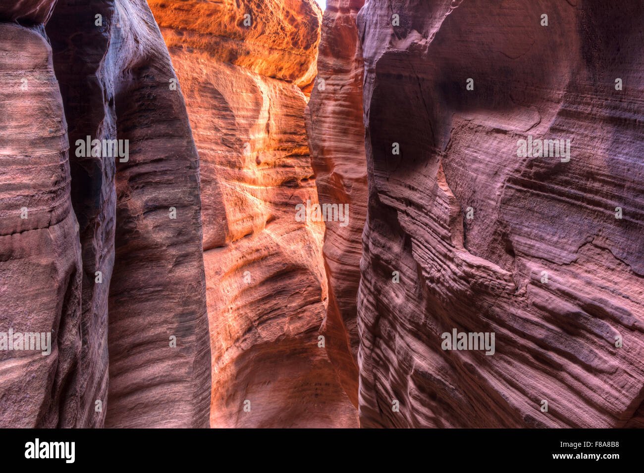 WIre Pass, ein schmaler Slotcanyon, die feeds in Buckskin Gulch im Paria Canyon / Vermillion Cliffs WIlderness in Utah Stockfoto