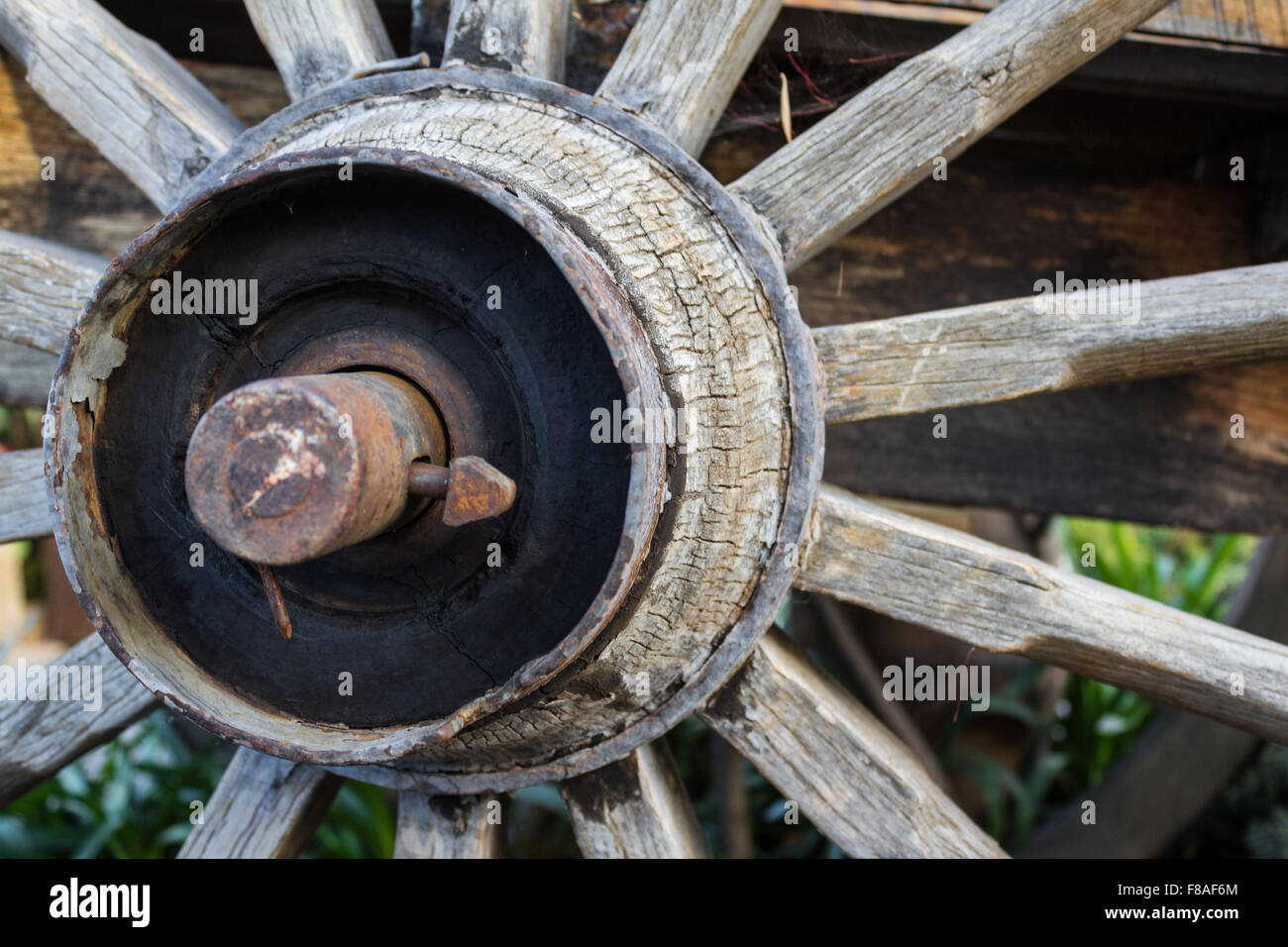 alte hölzerne Rad, Holzrad detail Stockfoto