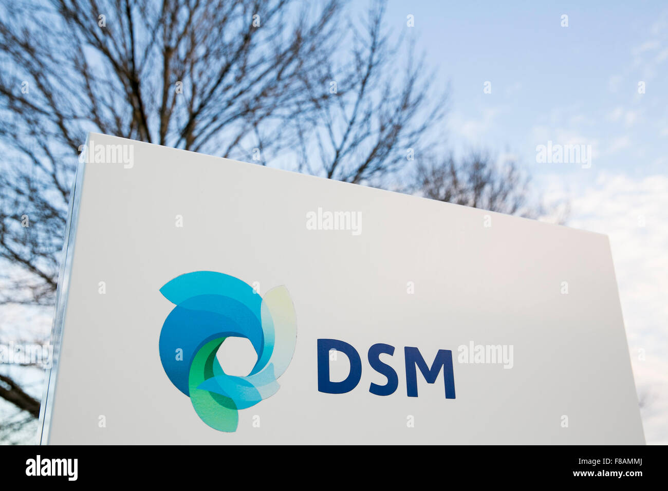 Ein Logo Zeichen außerhalb einer Einrichtung von Royal DSM in Windsor, Connecticut am 21. November 2015 besetzt. Stockfoto