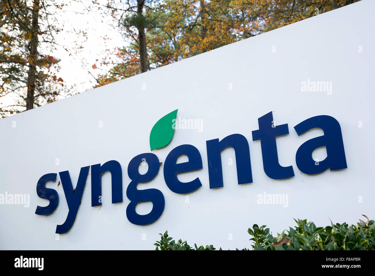 Ein Logo Zeichen außerhalb einer Einrichtung von Syngenta in Research Triangle Park, North Carolina am 29. November 2015 besetzt. Stockfoto