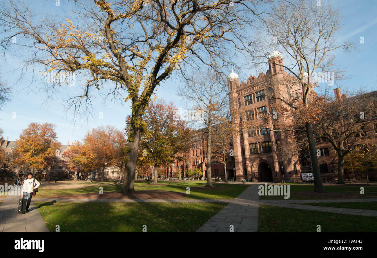 Yale University Campus, New Haven, Connecticut, USA, im Herbst Stockfoto