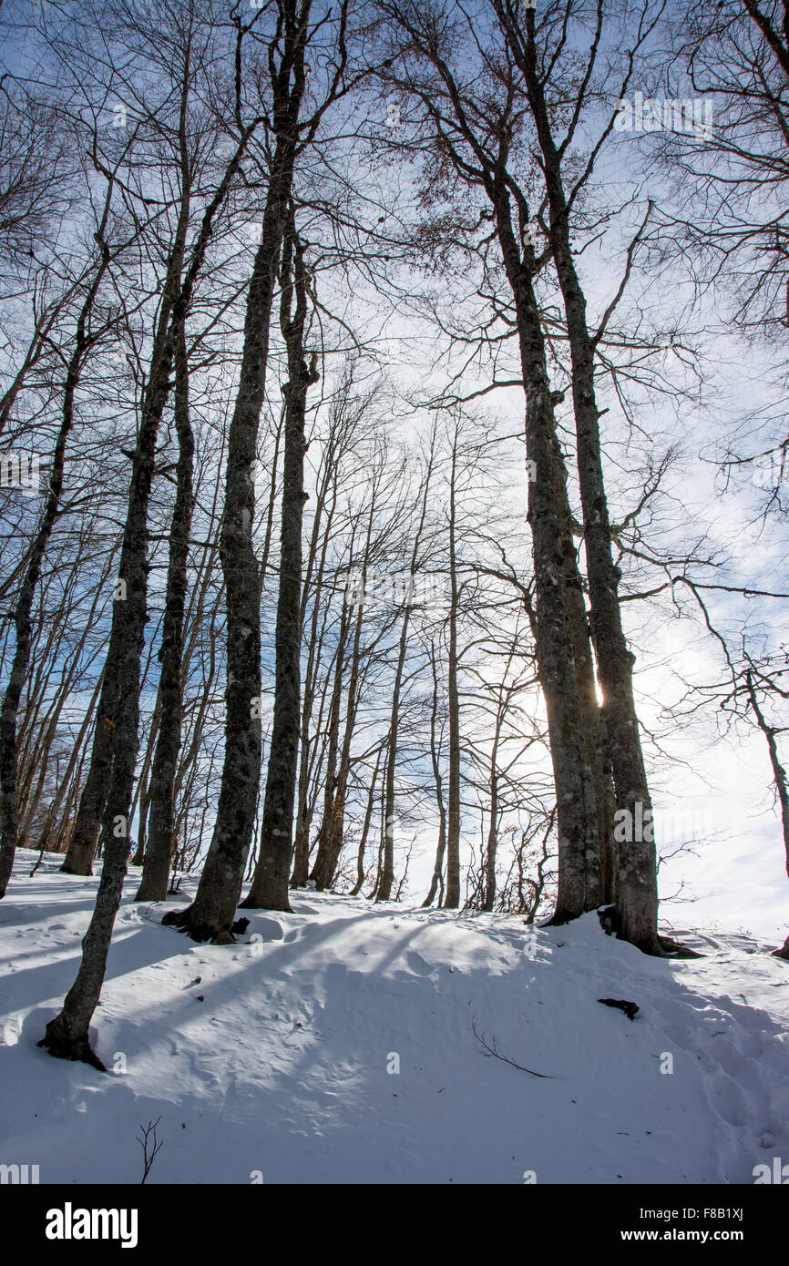 Italienische Winterlandschaft in den Bergen Stockfoto