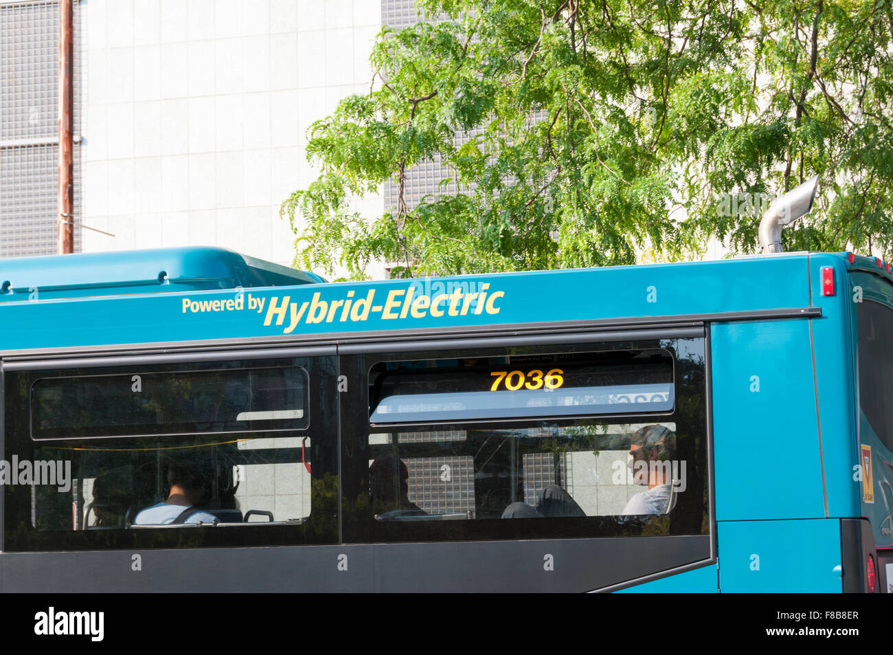 Eine umweltfreundliche Hybrid-Elektro-Bus in Seattle, USA. Stockfoto