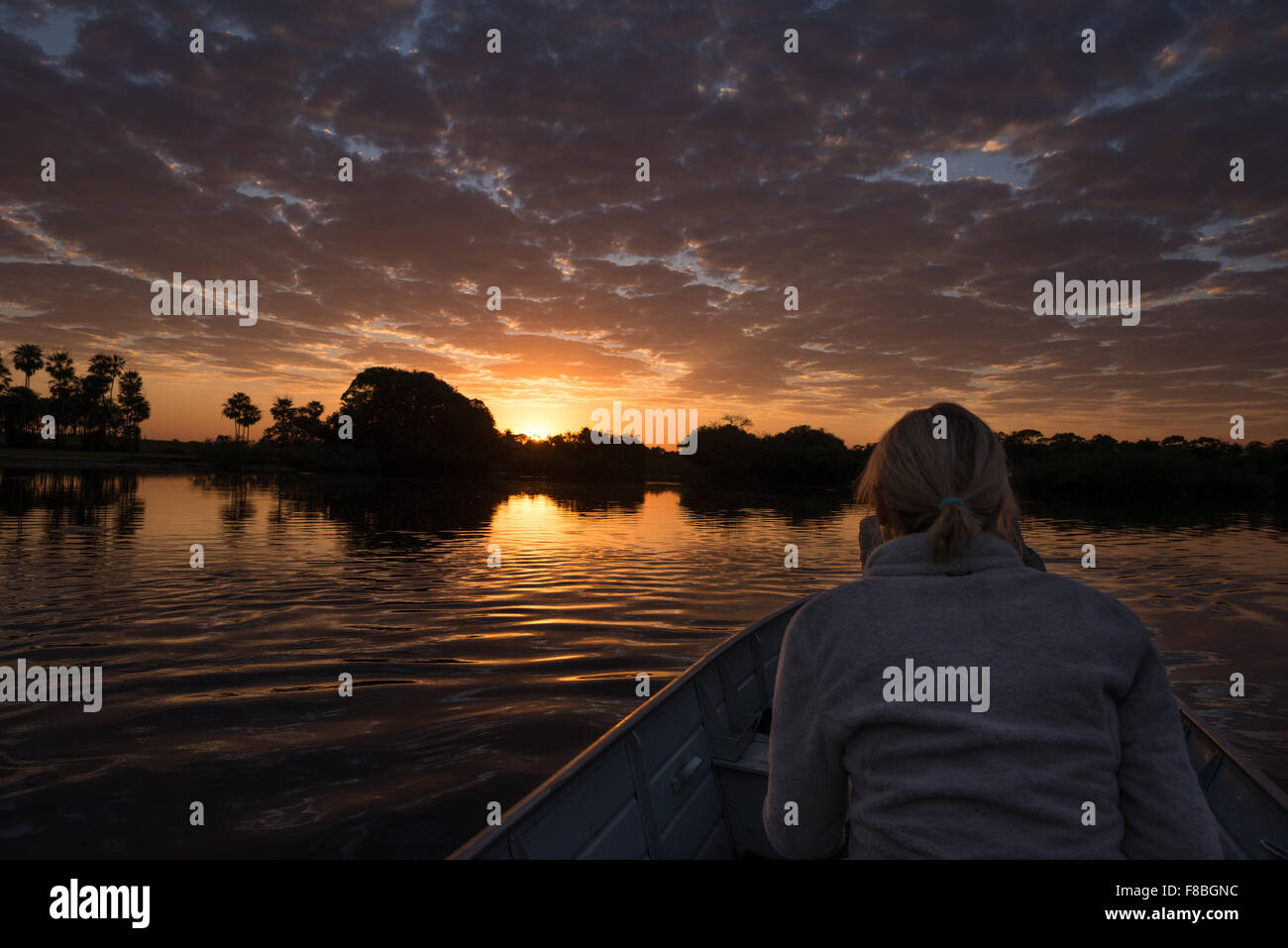 Ein Tourist genießt den Sonnenaufgang von einem Boot im Pantanal Stockfoto