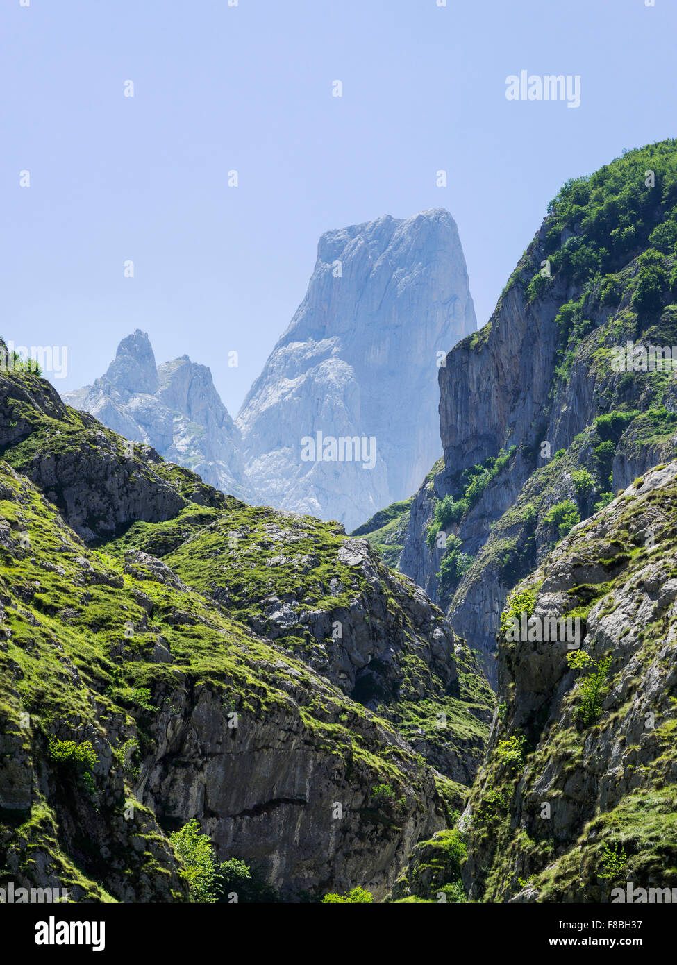 Piccu urriellu, bulnes, Fürstentum Asturien, Spanien Stockfoto