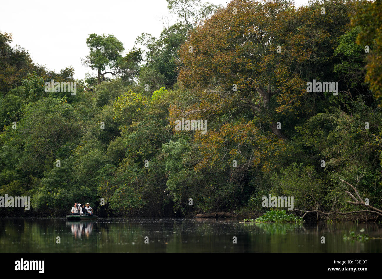 Touristen Wildlife Fotografieren von einem Boot im Pantanal Stockfoto