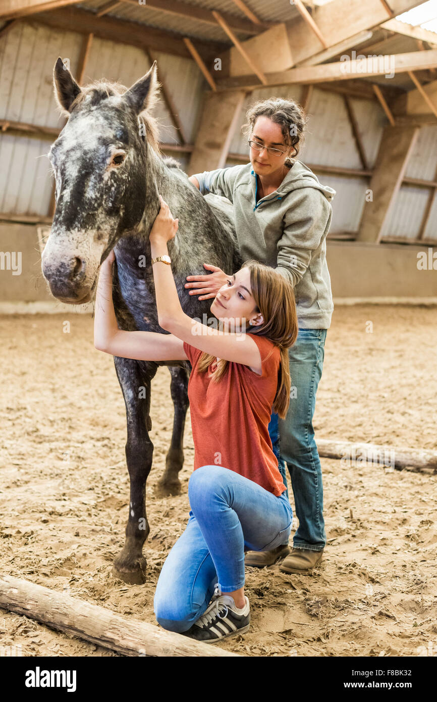 Junge Frau in Horse-Therapie-Sitzung mit einem Therapeuten, Brie de Charente Reiten, Frankreich. Stockfoto