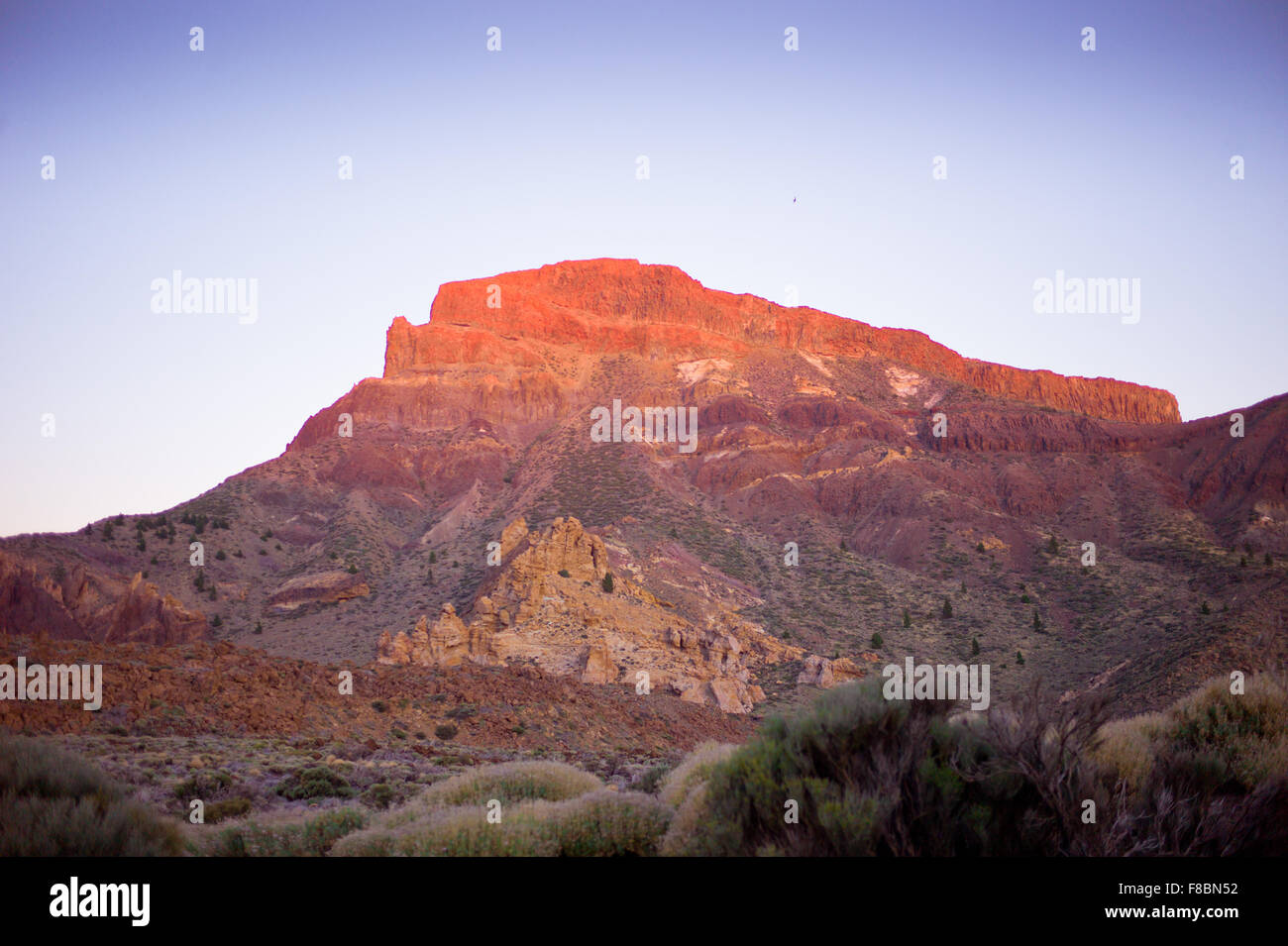 Pico del Teide Nationalpark, Teneriffa, Kanarische Inseln, Spanien Stockfoto