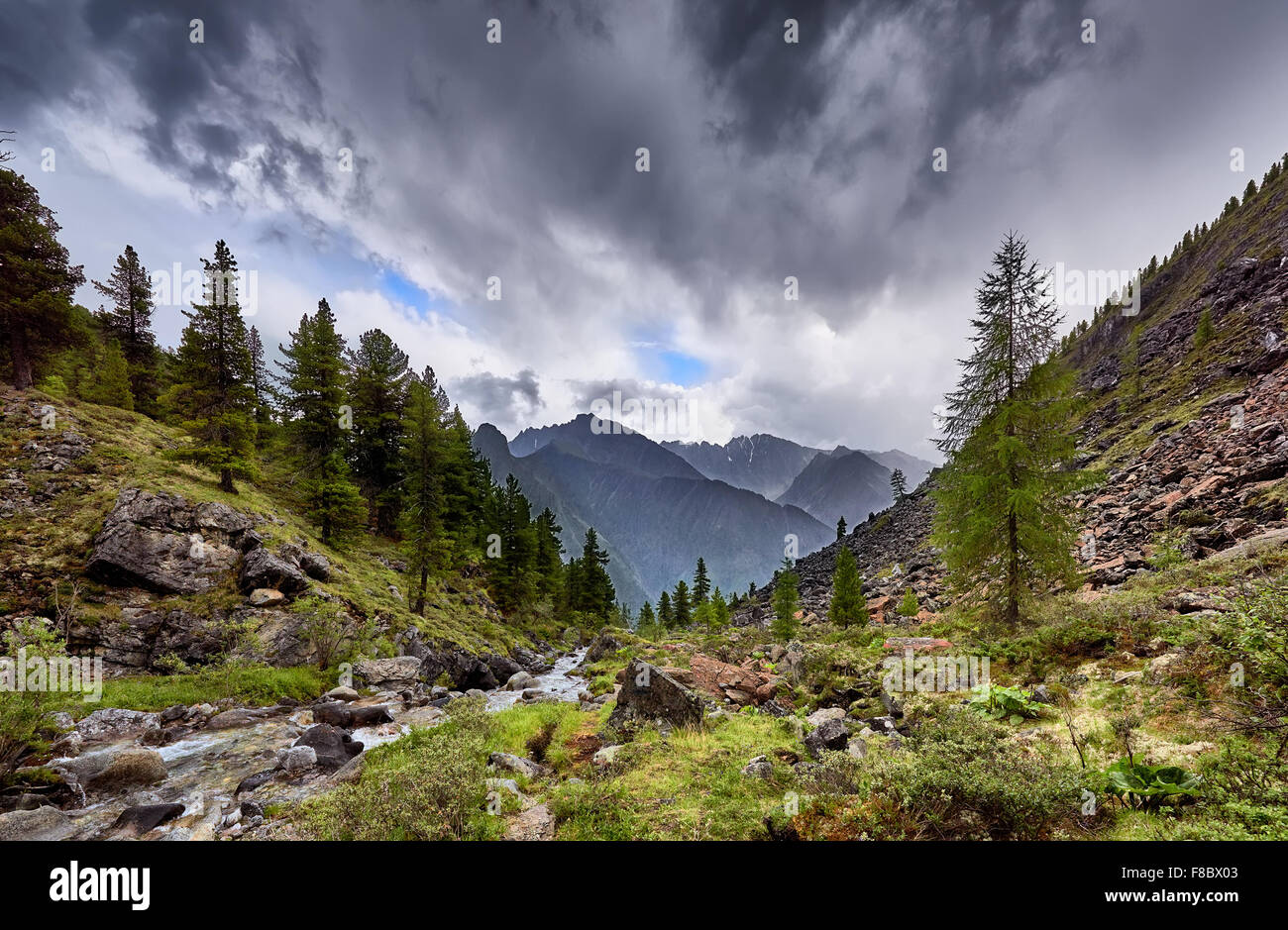 Über Bergbach bedeckt. Östliche Sayan.Siberia Stockfoto