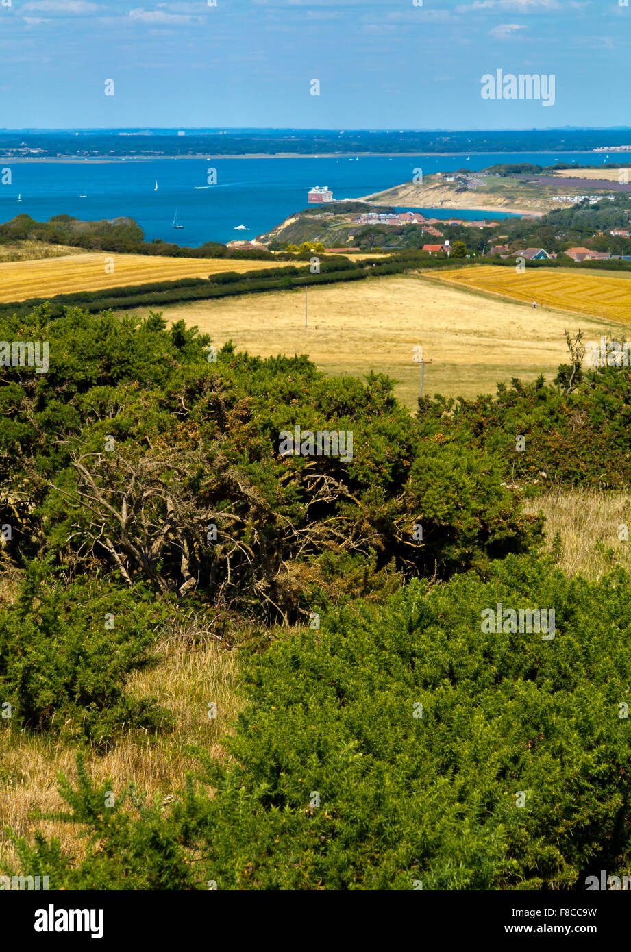 Blick auf Nord West High Down auf der Isle Of Wight in Richtung The Solent und die Küste des südlichen England UK Stockfoto